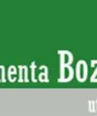 FERRAMENTA BOZZONI UTENSILERIE SRL settore UTENSILERIA seleziona Agenti