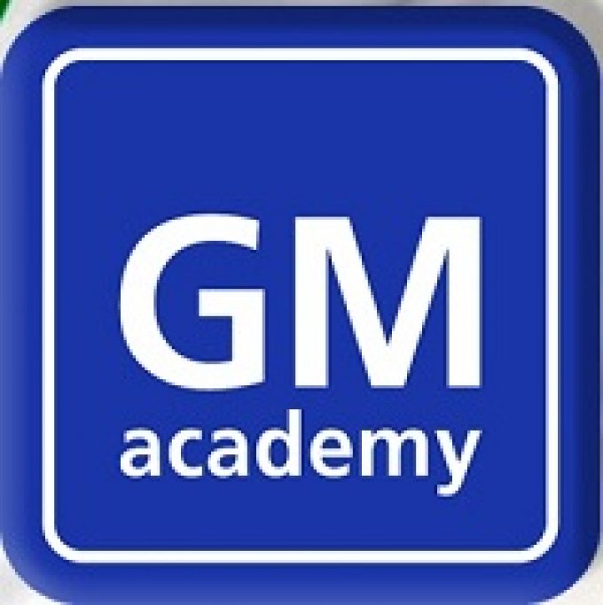 GM academy s.r.l. seleziona Venditori settore Formazione