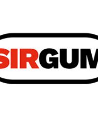 S.I.R. GUM PRODUZIONE SRL settore intonaci e vernici seleziona agenti