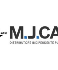 M.j. Car srl seleziona Venditori settore Noleggio lungo termine